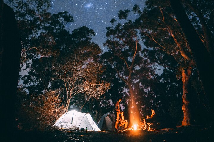 Yosemite Classic Camping Trips - Photo 1 of 11